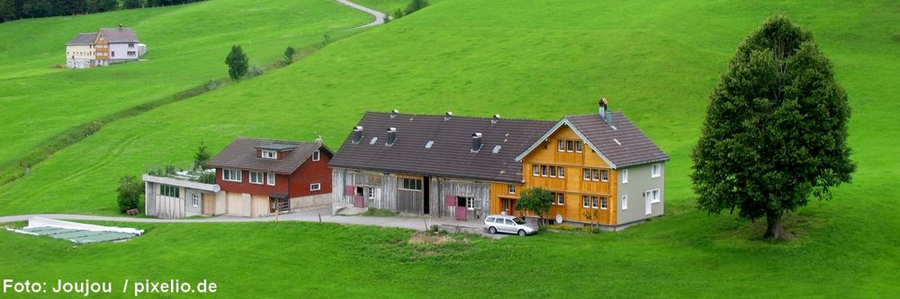 \"Bild