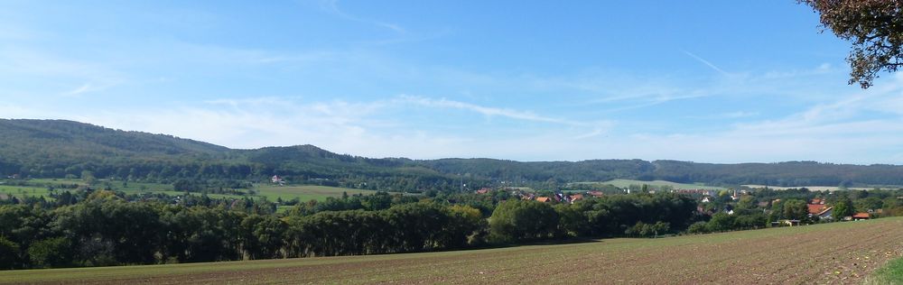 \"Bild